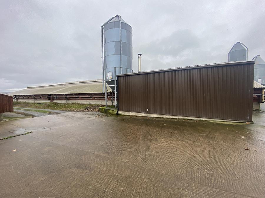 Small Holding Adjacent To 212 Castlecatt Road Dervock