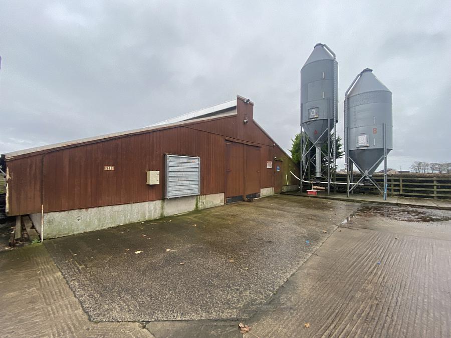 Small Holding Adjacent To 212 Castlecatt Road Dervock