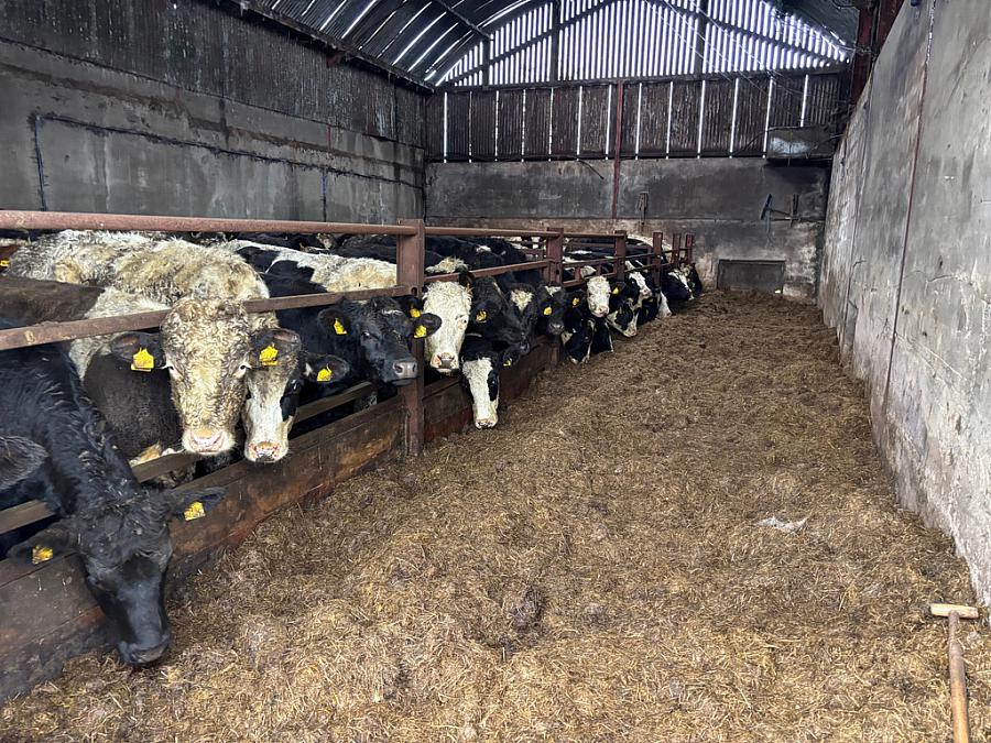 Small Holding Adjacent To 212 Castlecatt Road Dervock