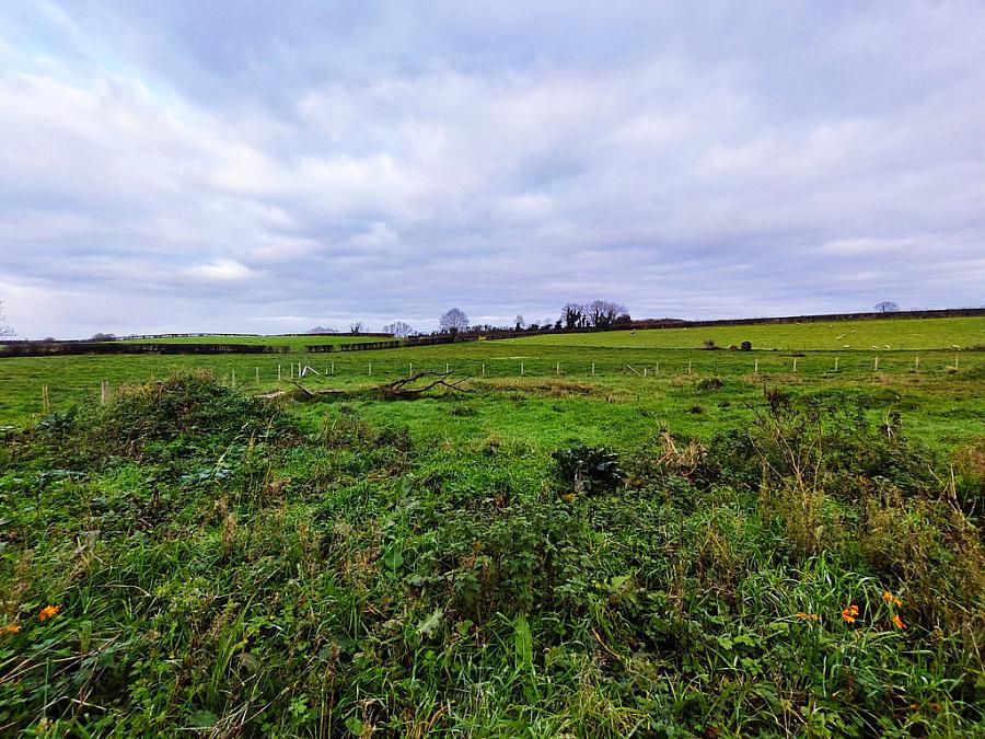 Lands 85M North Of 91 Killyvally Road