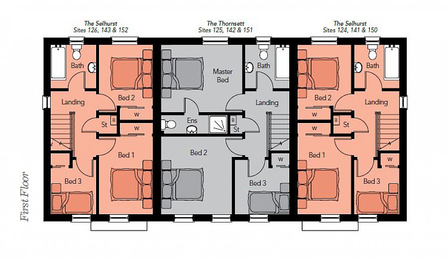 Site 142 (The Thornsett) Foxleigh Meadow, Charlotte Street