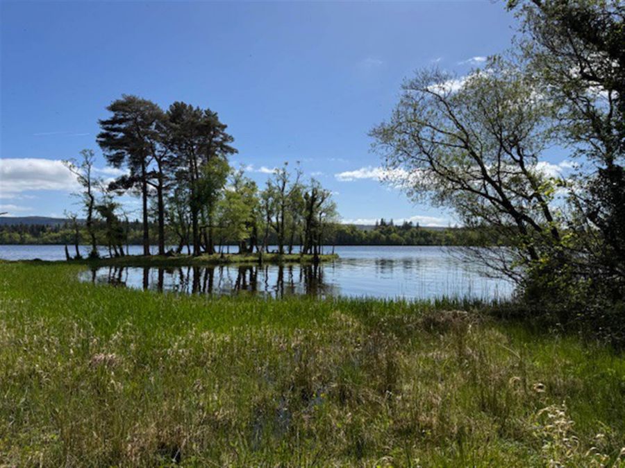 7 Waters Edge