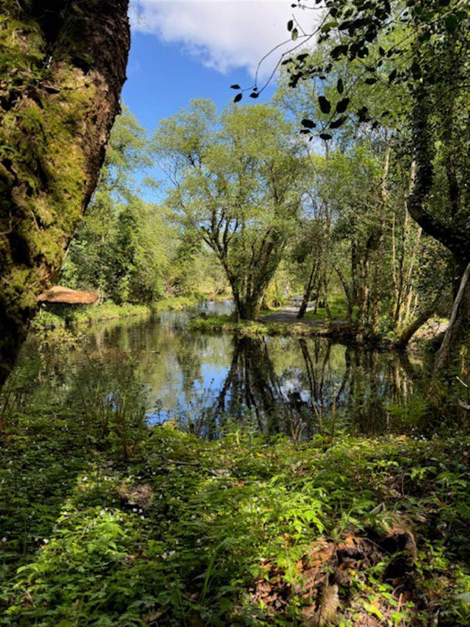 7 Waters Edge
