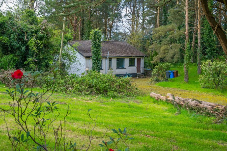 Site @, 115 Downpatrick Road Site @, 115 Downpatrick Road