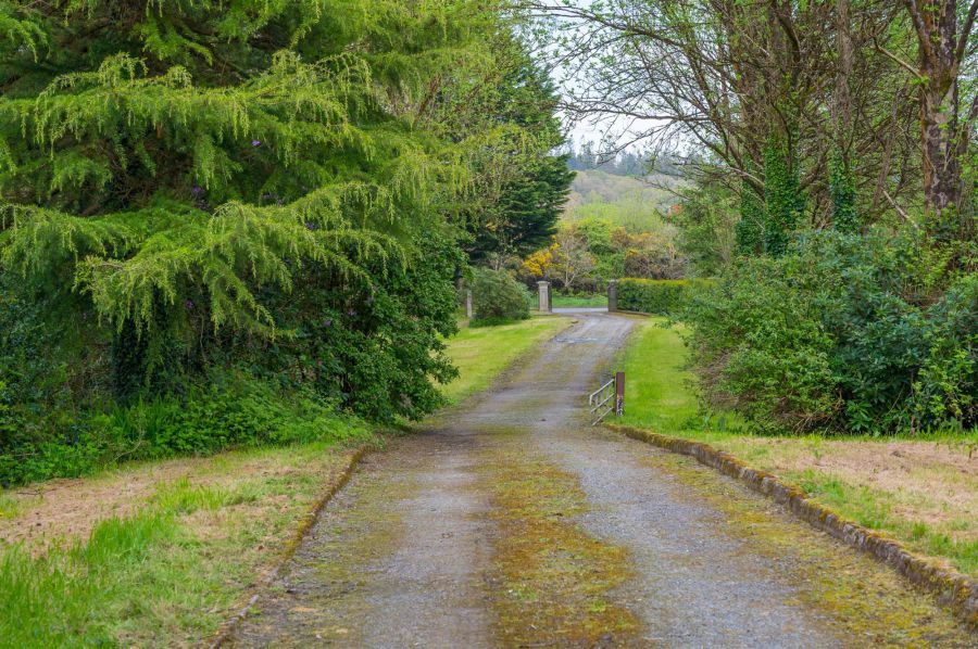 Site @, 115 Downpatrick Road Site @, 115 Downpatrick Road