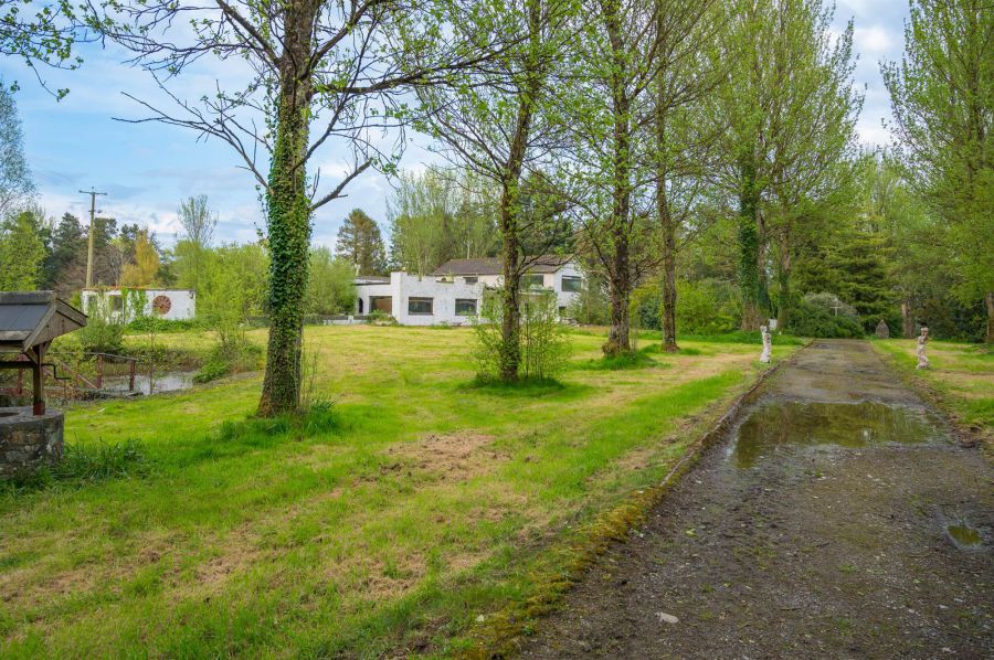 Site @, 115 Downpatrick Road Site @, 115 Downpatrick Road