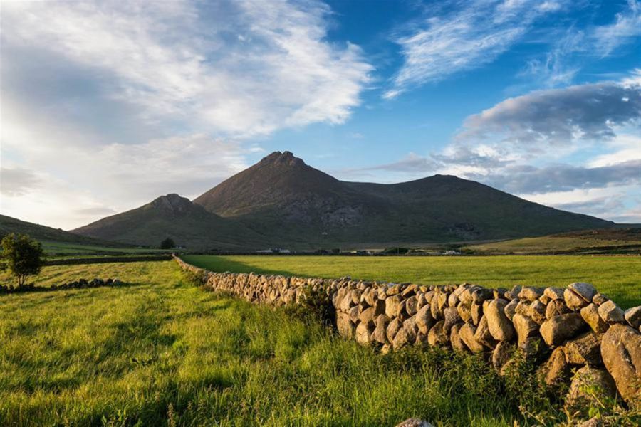 House Type E, Site 25 The Oaks