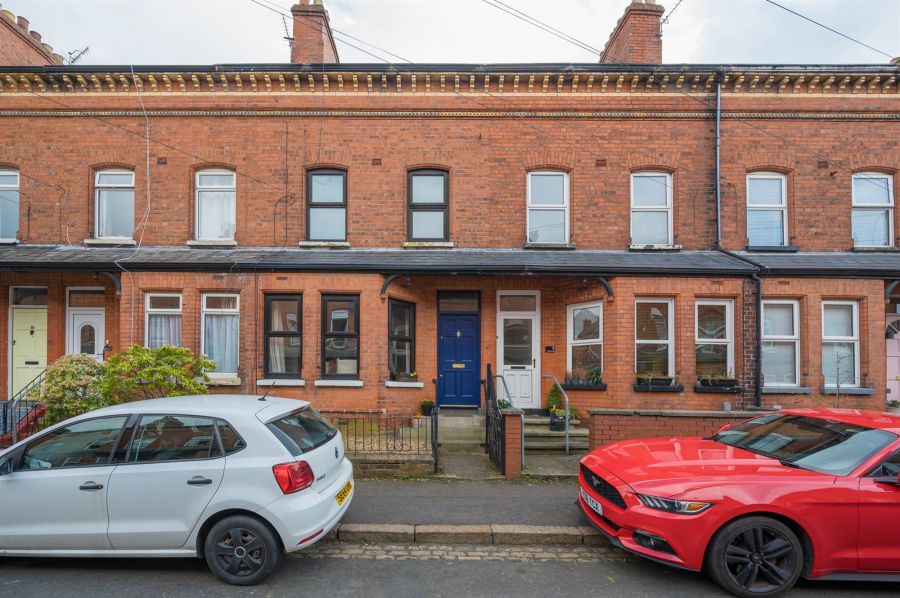 11 Ferguson Drive