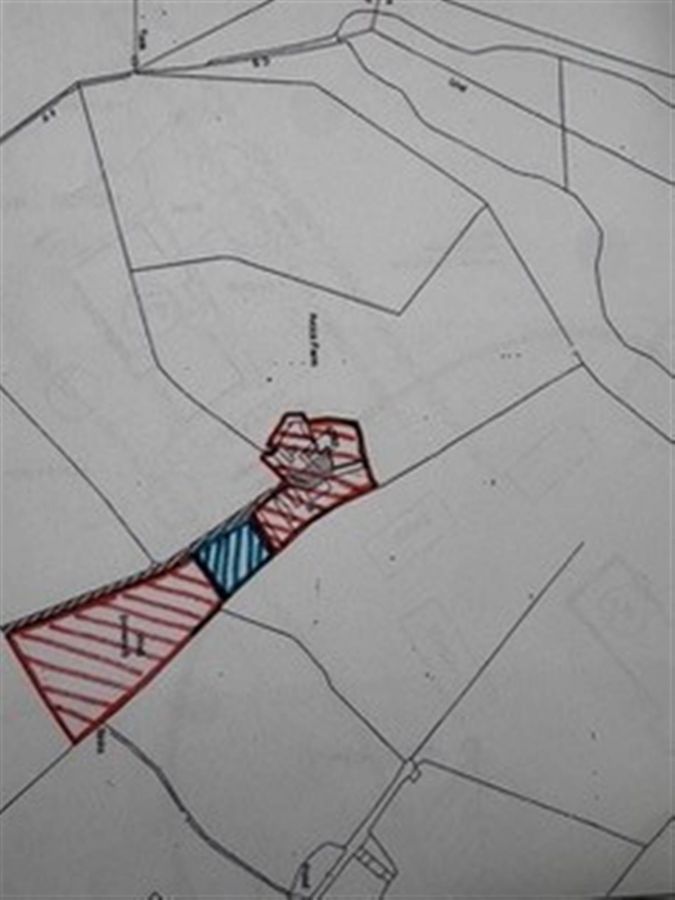 Avoca Farm, 42 Ballymiscaw Road