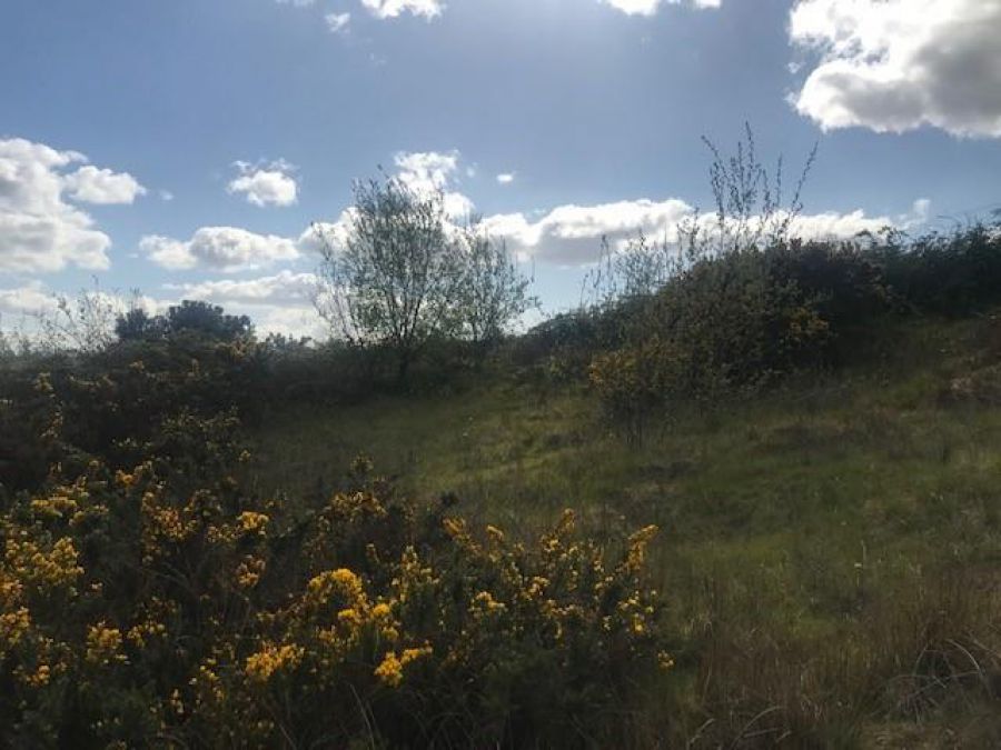 Site South East Of 9 Lisleen Road East