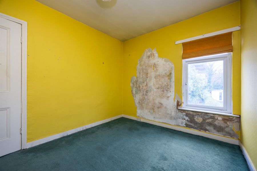 243 Connsbrook Avenue