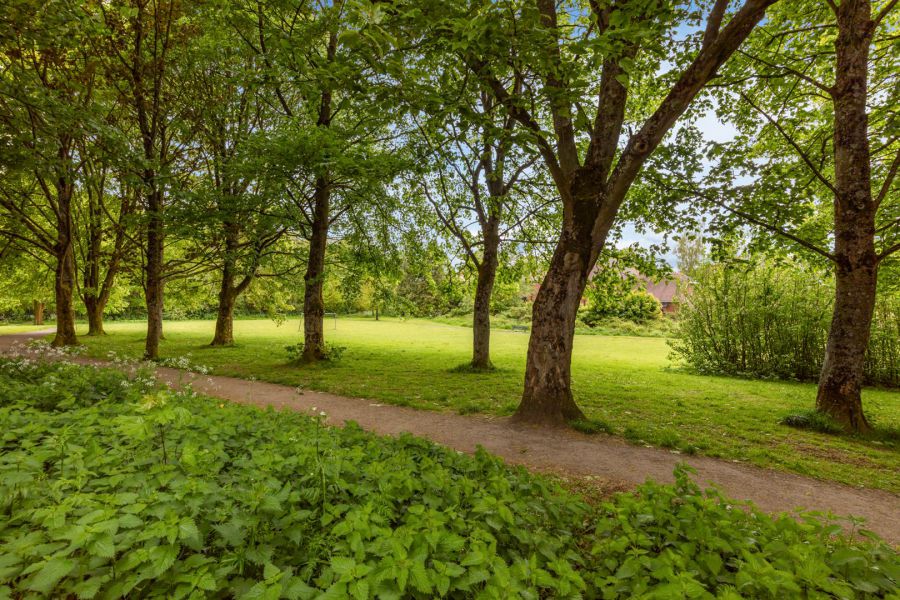 53 Gilnahirk Park