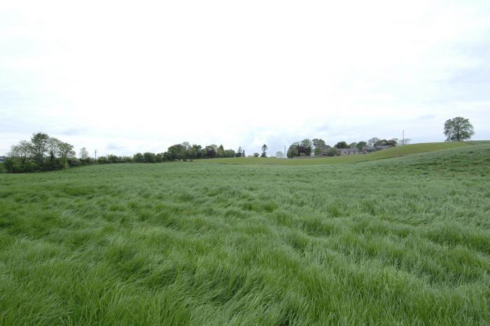 Gowan Manor, Site @ 273b Ballygowan Road
