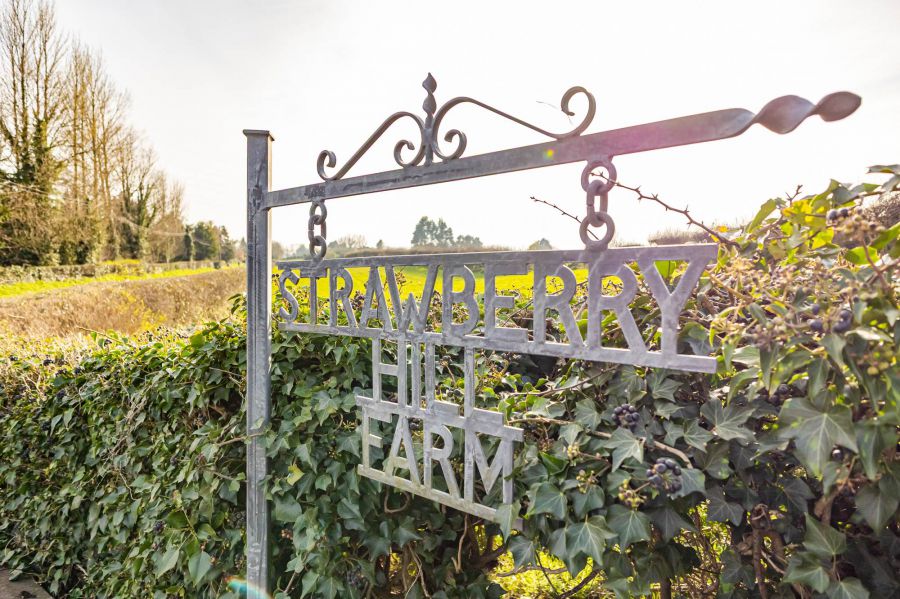 Strawberry Hill Farm, 164 Ballynahinch Road