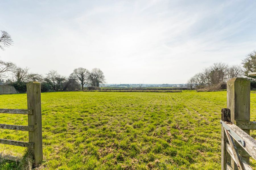 Strawberry Hill Farm, 164 Ballynahinch Road