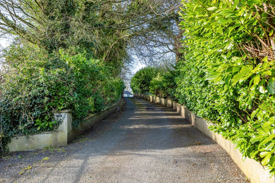 Strawberry Hill Farm, 164 Ballynahinch Road