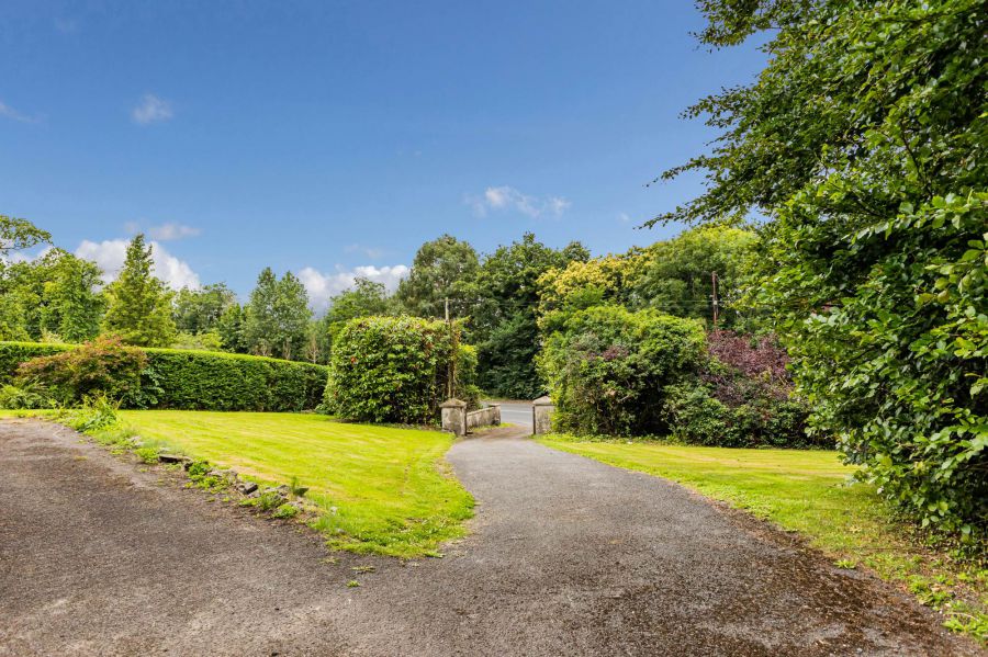 49 Dromore Road