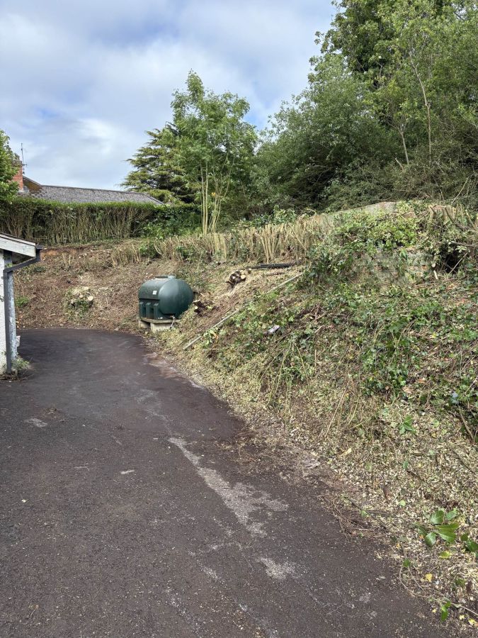 49 Dromore Road