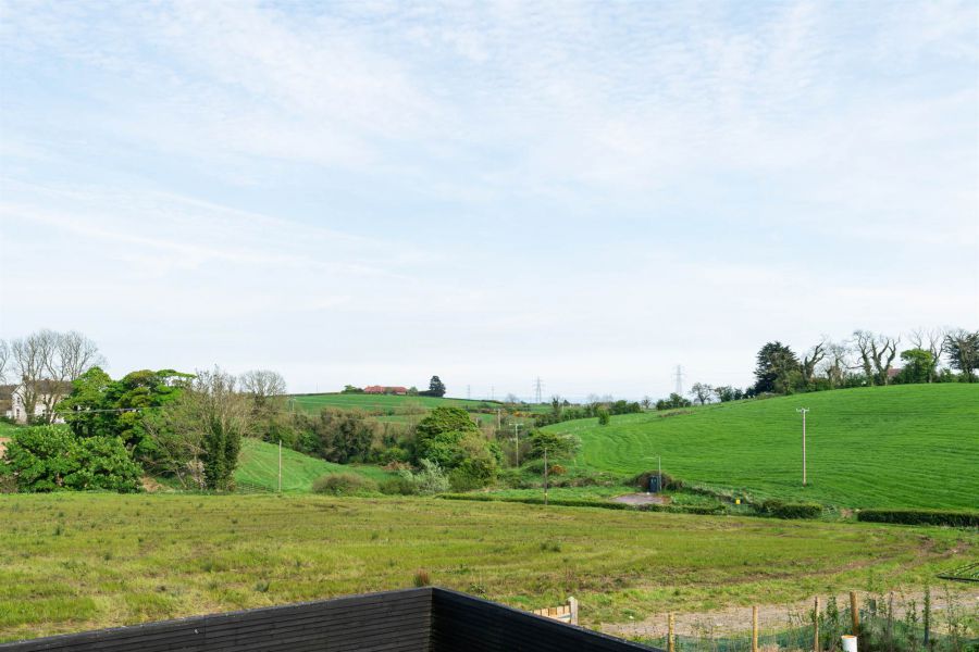 244 Ballygowan Road