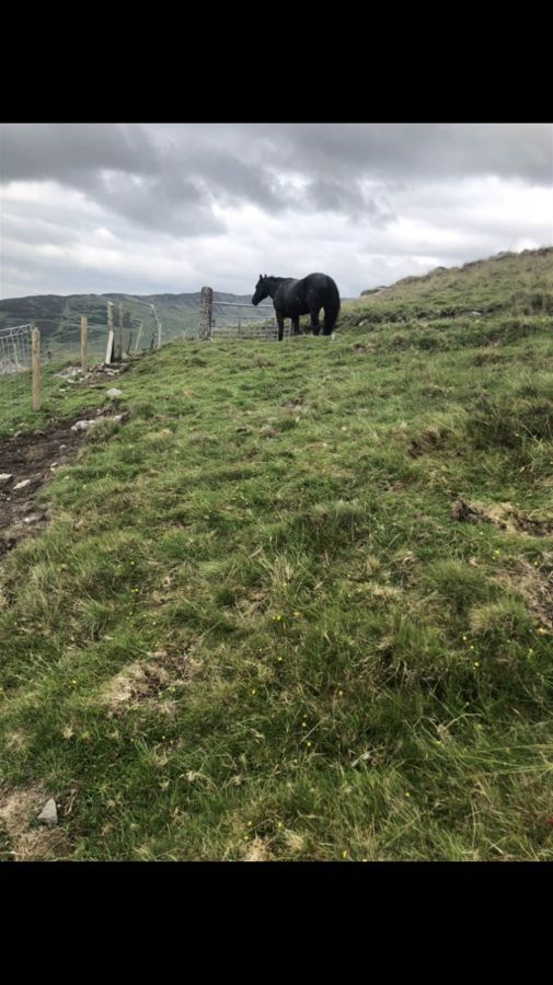 Site @ 21 Finnis Road