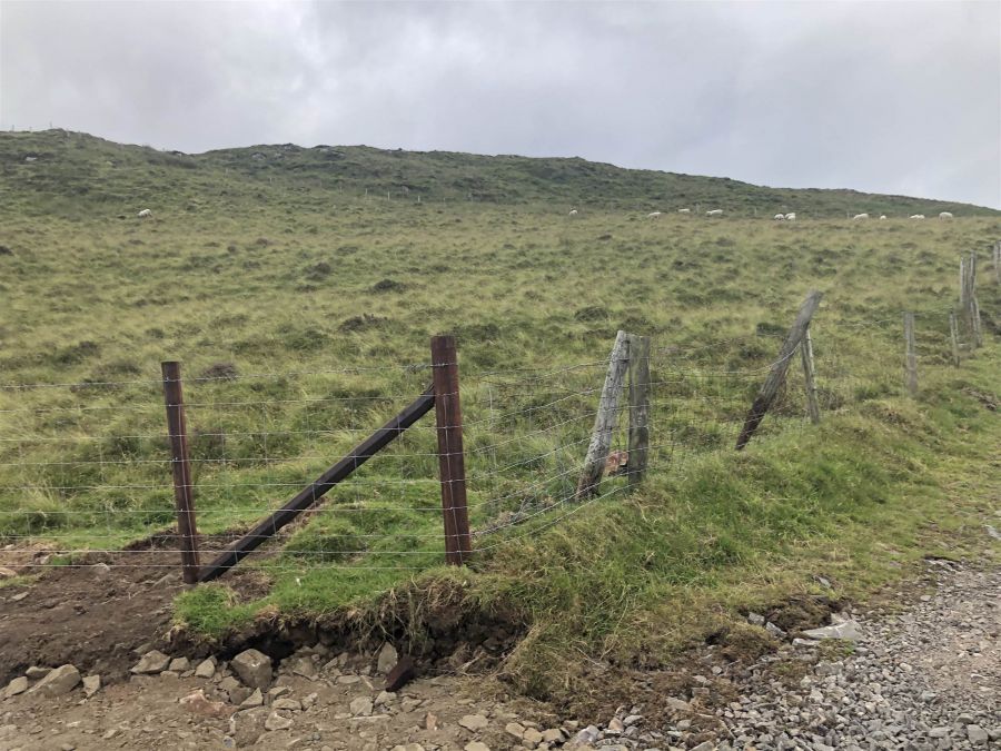 Site @ 21 Finnis Road