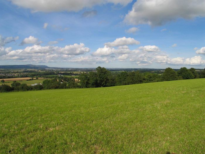 Site On 13.5 Acres @ St Johns Road Site On 13.5 Acres @ St Johns Road
