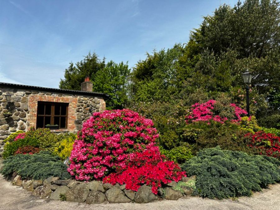 Ederowen Farm, 43 Lurgan Road