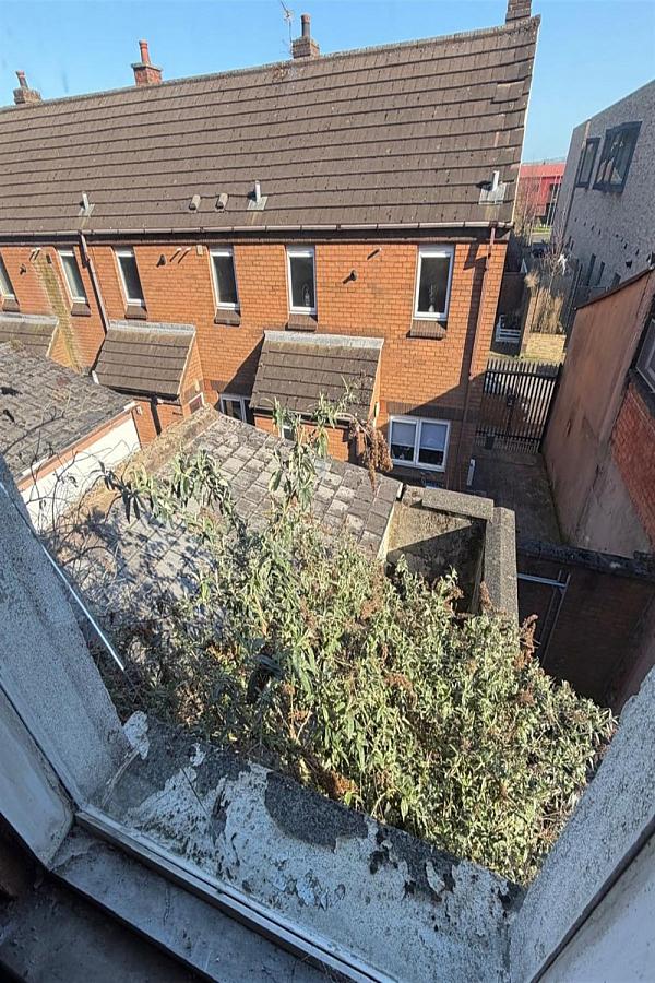 102 Ainsworth Avenue