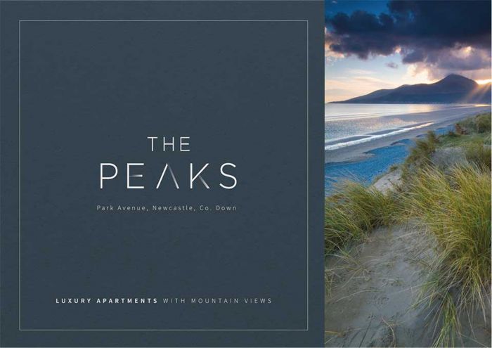 'the Peaks' Park Avenue, newcastle, BT33 0DY