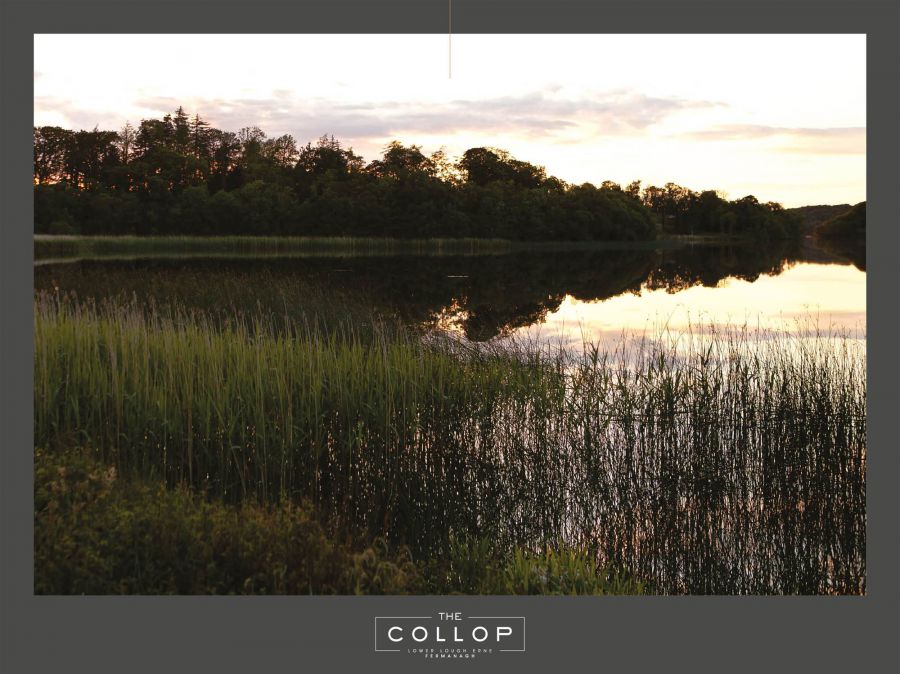 8 The Collop
