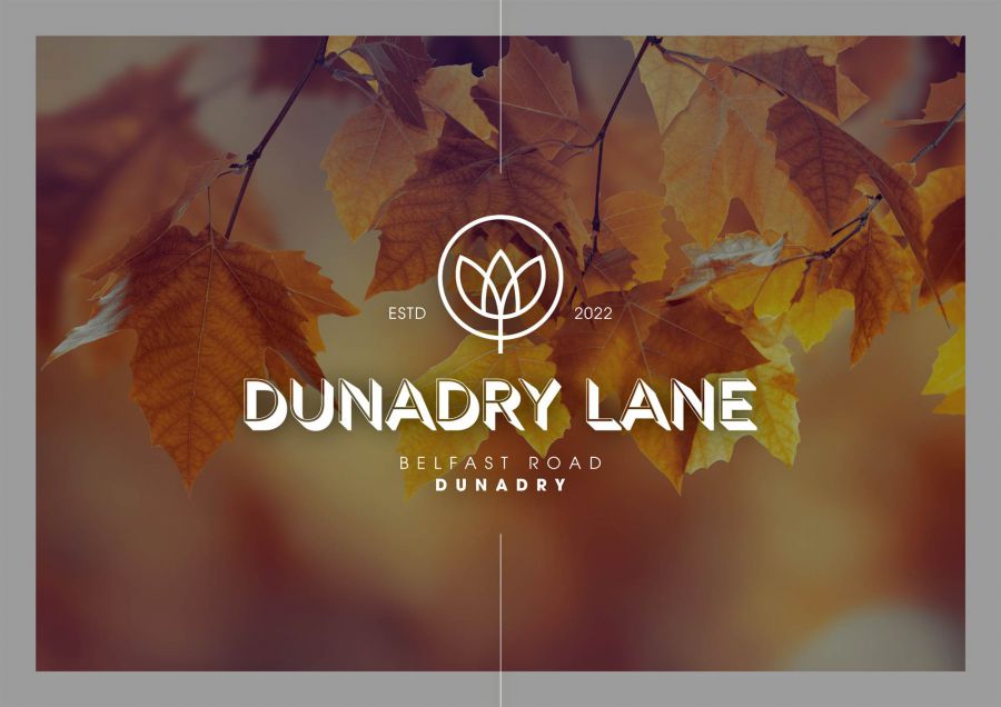 1 Dunadry Lane, Belfast Road, Dunadry, BT41