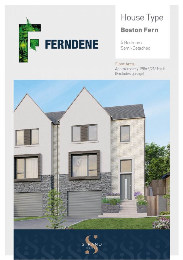 The Boston Fern, 26 Ferndene