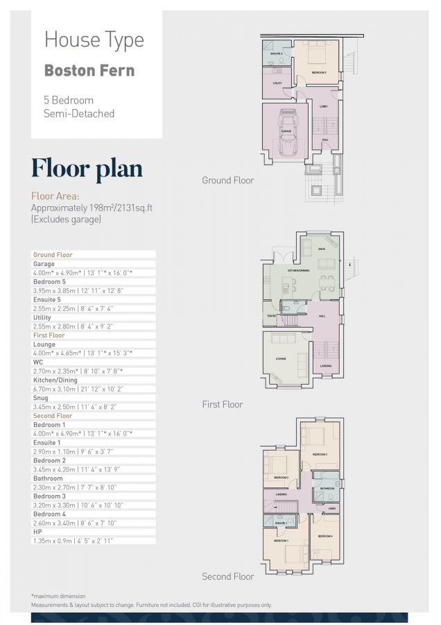 The Boston Fern, 26 Ferndene