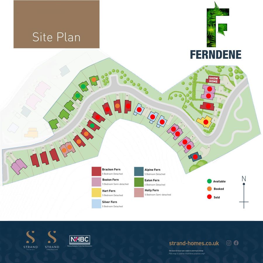 The Boston Fern, 26 Ferndene