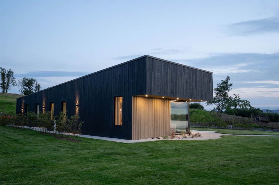 Sugi, 5 Derryad Country Park