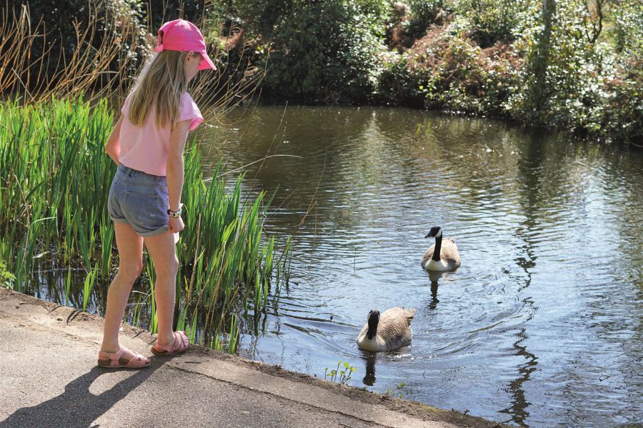 The Kerr, 16 Elder Vale