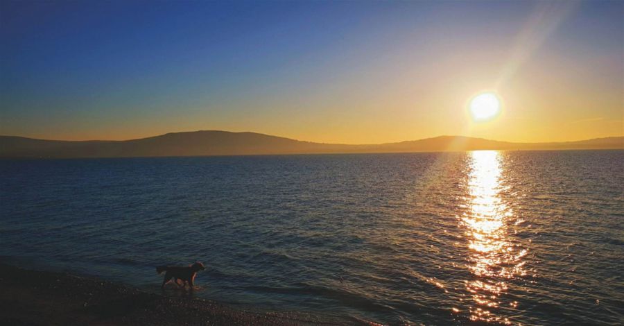 The Dixon, 3 Ballymenoch Demesne