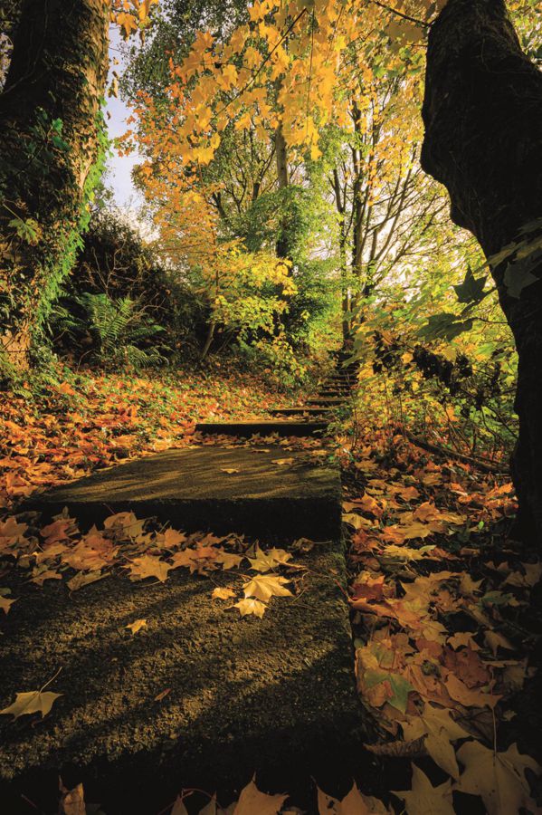 The Dixon, 3 Ballymenoch Demesne