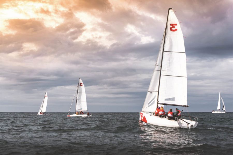 The Dixon, 3 Ballymenoch Demesne