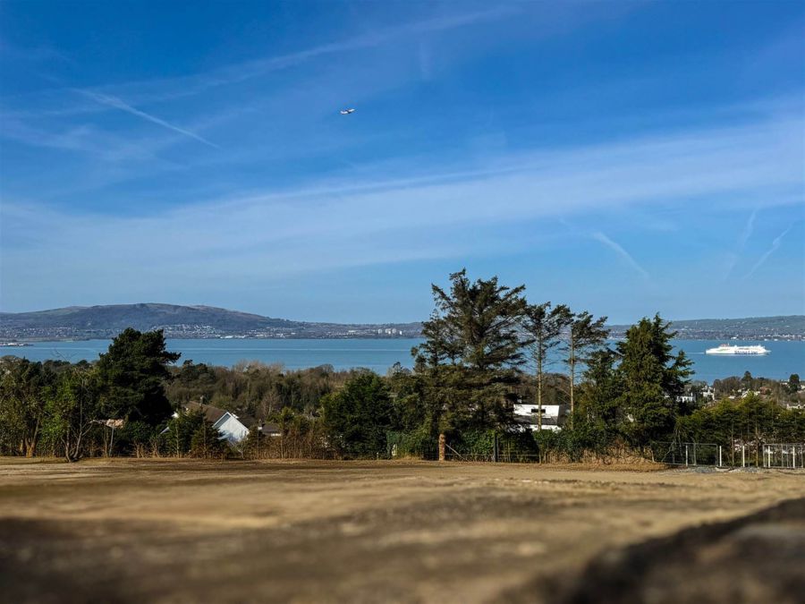 The Dixon, 3 Ballymenoch Demesne