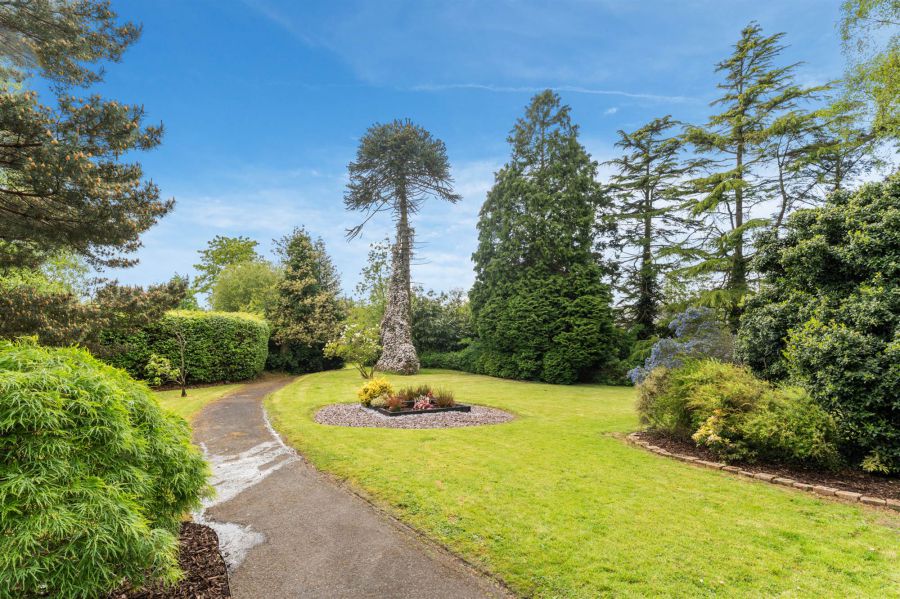 Clonard, 13 Bachelors Walk