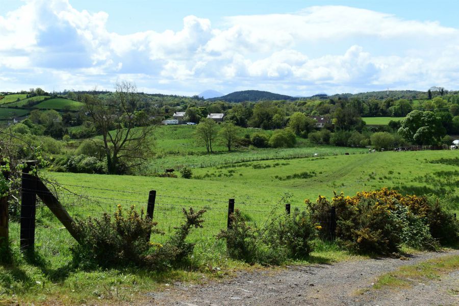 89B Crawfordstown Road