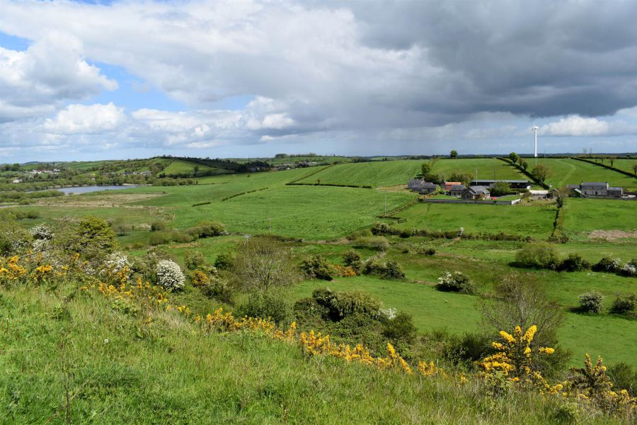 89B Crawfordstown Road