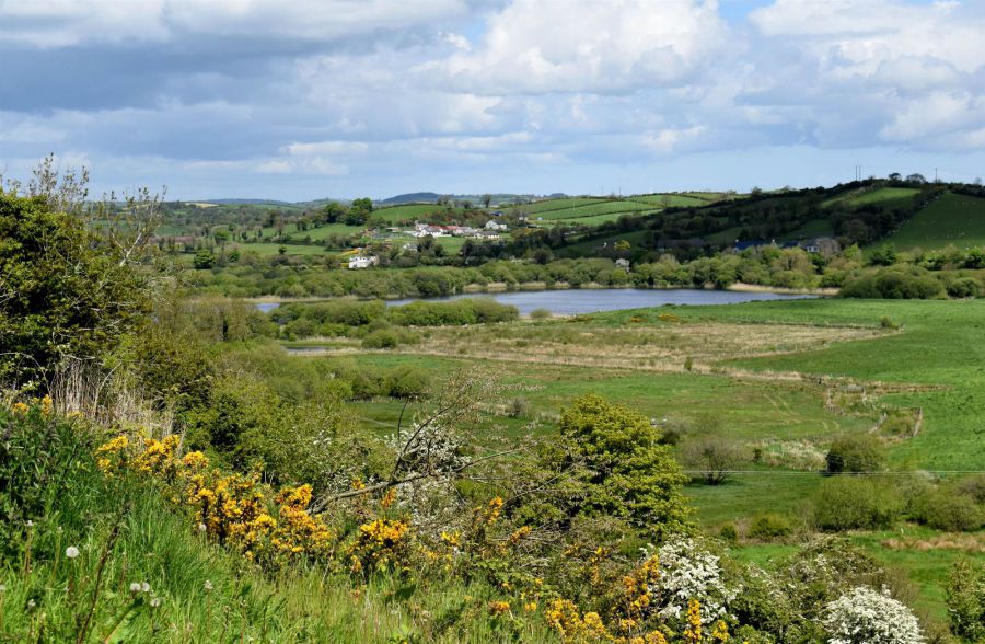 89B Crawfordstown Road