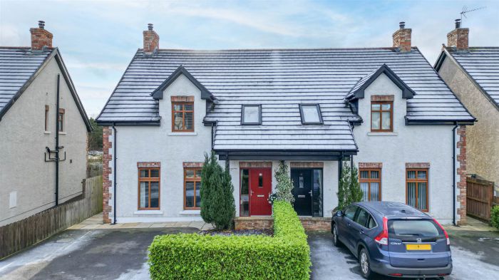 19 Chapel View, teconnaught, downpatrick, BT30 8FL