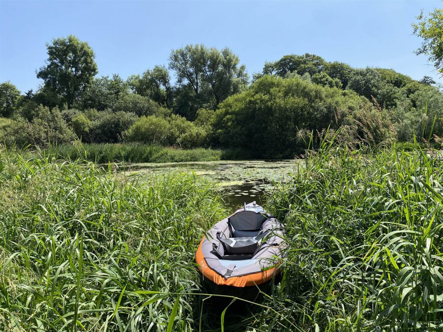 Portulla, 2 Finnebrogue Road