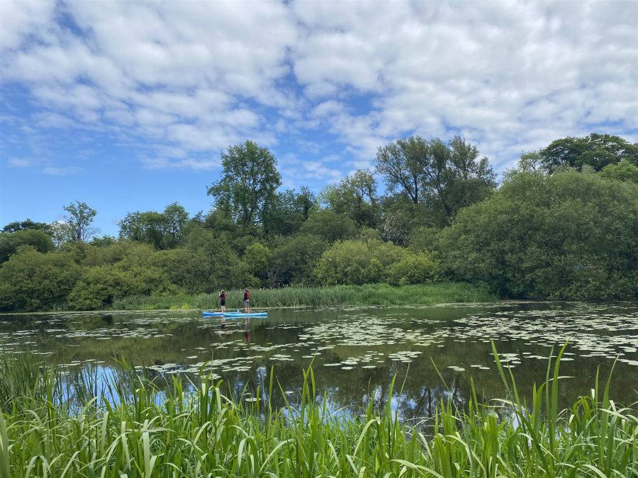 Portulla, 2 Finnebrogue Road