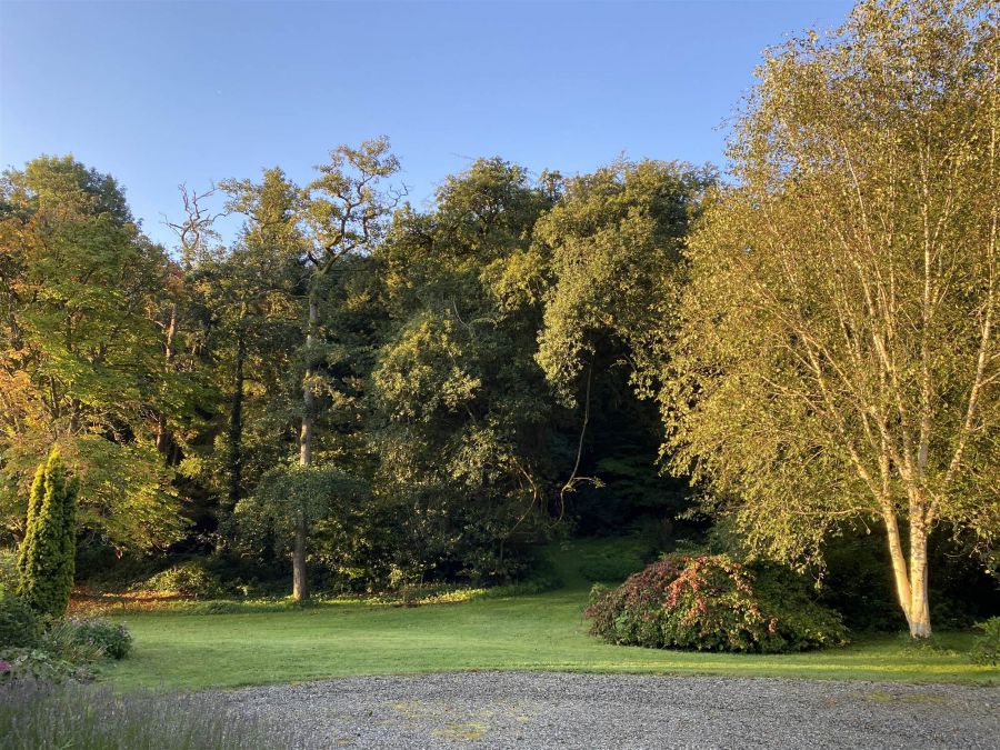 Portulla, 2 Finnebrogue Road