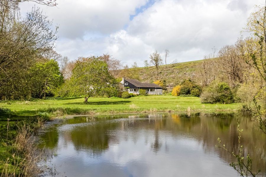 Portulla, 2 Finnebrogue Road