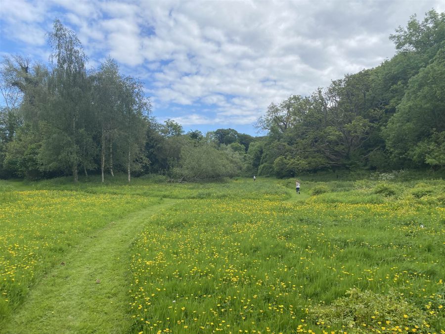 Portulla, 2 Finnebrogue Road